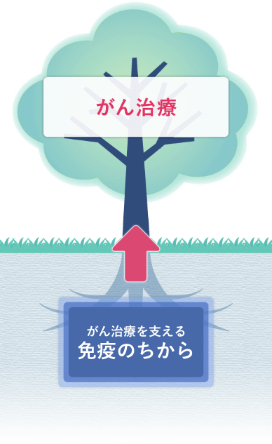 がん治療を支える免疫のちから