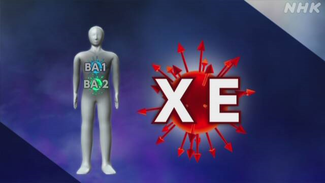 「XE」・・・「BA.1」＋「BA.2」